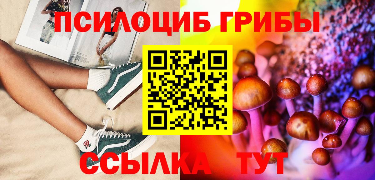 Галлюциногенные грибы Psilocybine cubensis  Вход с VPN  Углич  Галлюциногенные грибы Psilocybine cubensis 